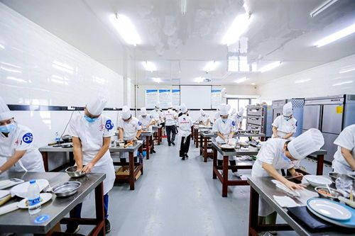 重慶高新區(qū)首屆“高新工匠杯”技能大賽開賽，信息技術(shù)咨詢服務(wù)領(lǐng)域人才角逐巔峰